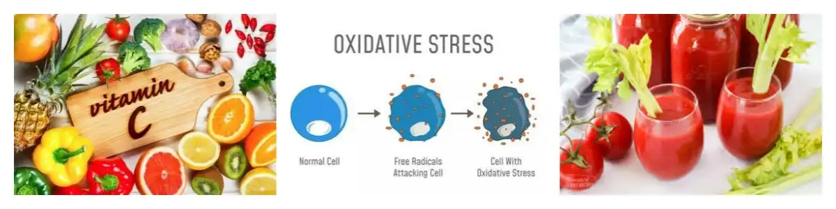 product-1-1 product-1-1