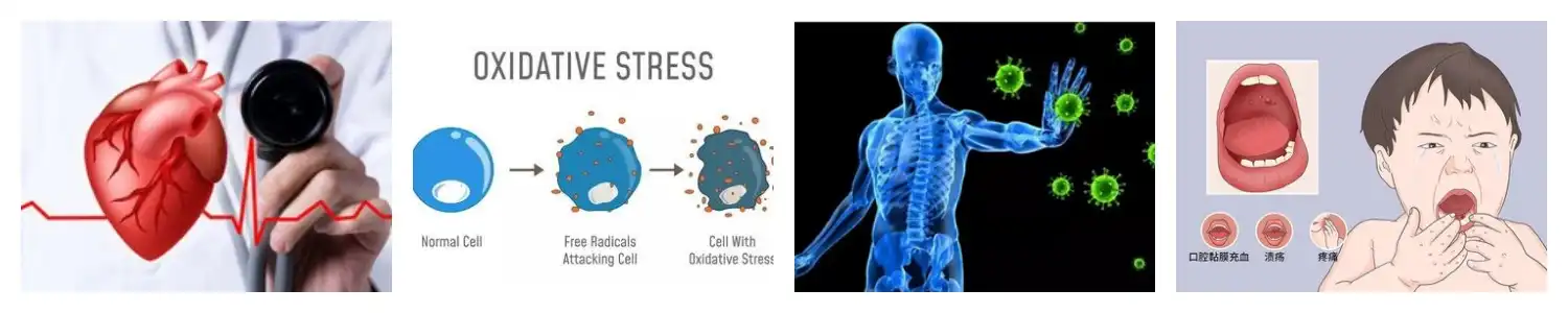 product-1-1 product-1-1