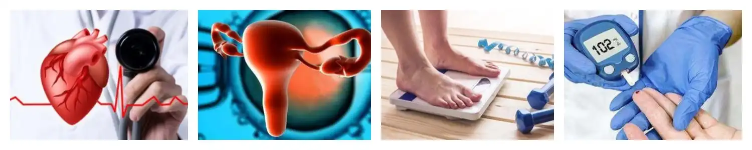 product-1-1 product-1-1