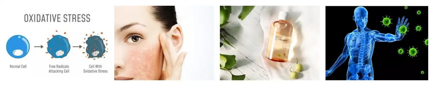 product-1-1 product-1-1