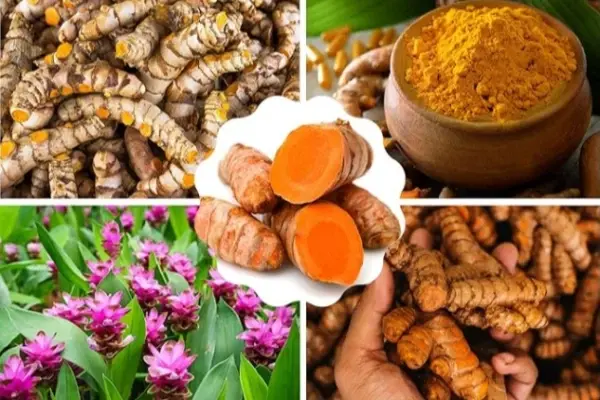 blog-1-1 product-1-1