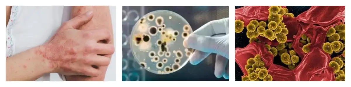 product-1-1 product-1-1