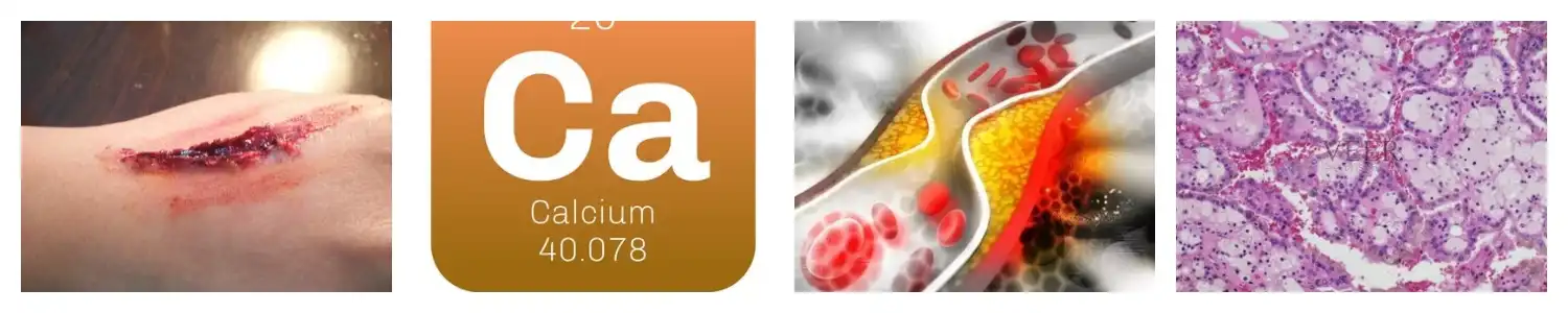 product-1-1 product-1-1