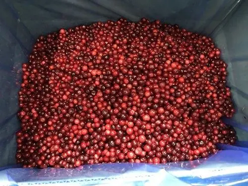 product-1-1 product-1-1