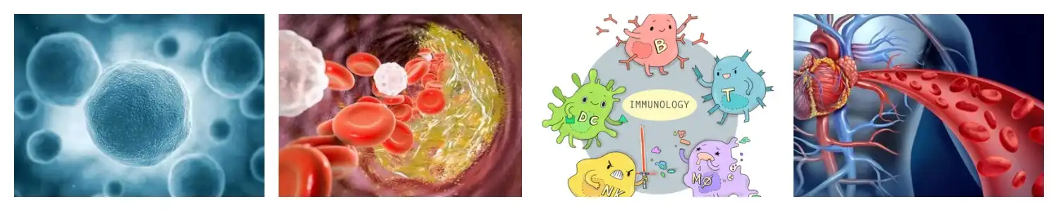 product-1-1 product-1-1