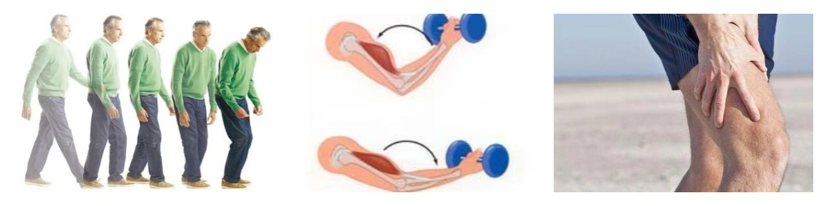 product-1-1 product-1-1