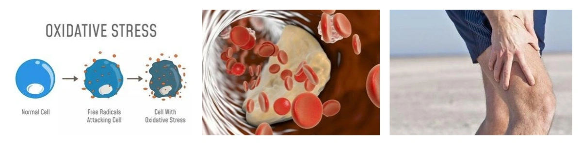 product-1-1 product-1-1