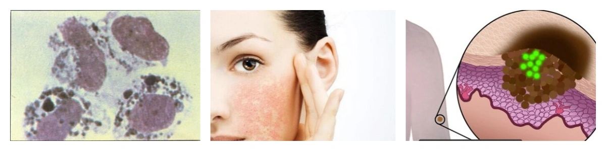 product-1-1 product-1-1