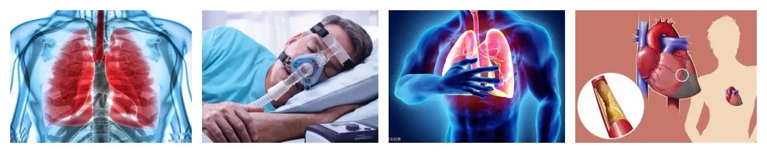 product-1-1 product-1-1