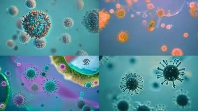 product-1-1 product-1-1