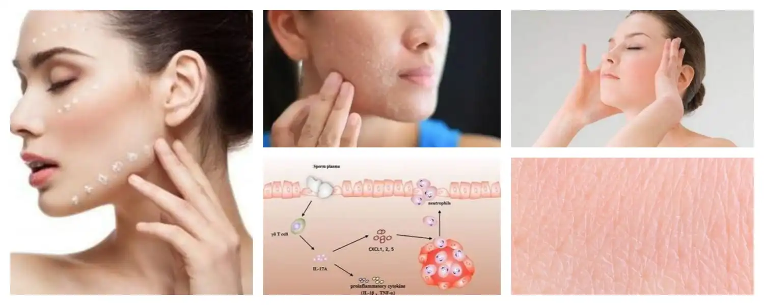 product-1-1 product-1-1