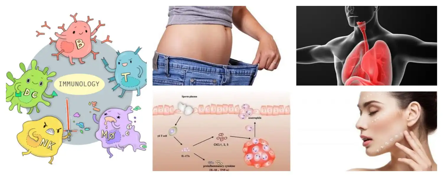 product-1-1 product-1-1