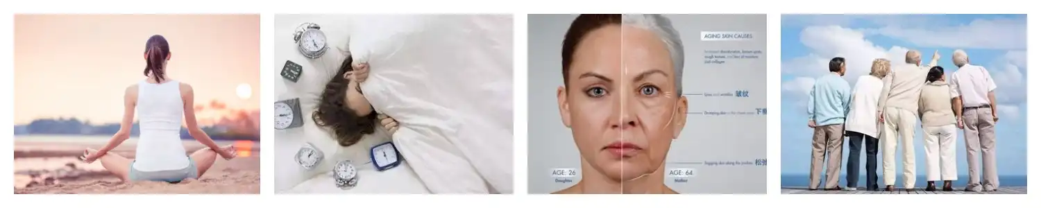 product-1-1 product-1-1