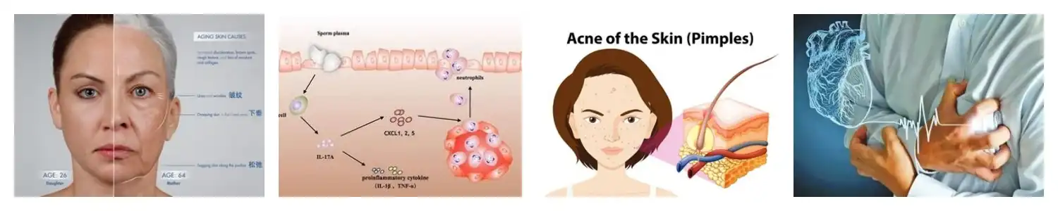 product-1-1 product-1-1