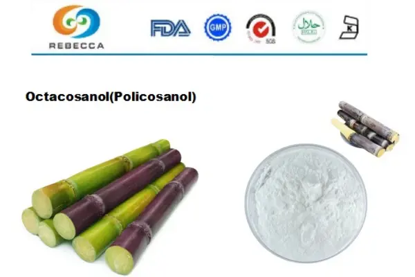 blog-1-1 product-1-1