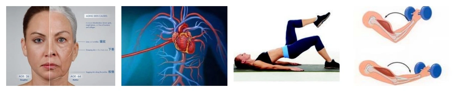 product-1-1 product-1-1