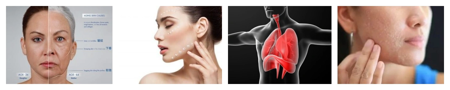 product-1-1 product-1-1