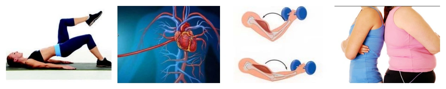 product-1-1 product-1-1