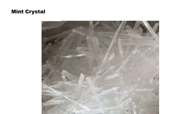 blog-1-1 product-1-1