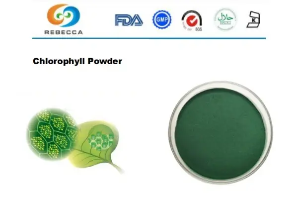 product-1-1 product-1-1