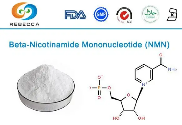 product-1-1 product-1-1