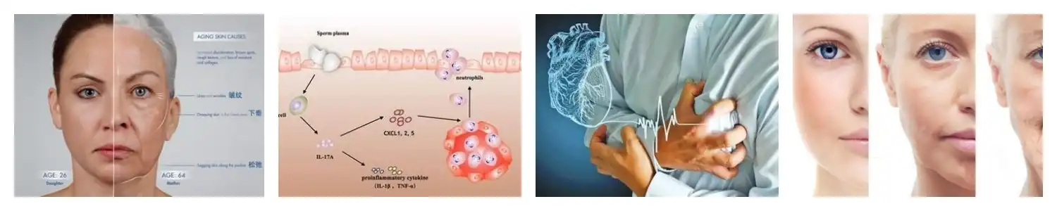 product-1-1 product-1-1