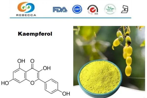 product-1-1 product-1-1