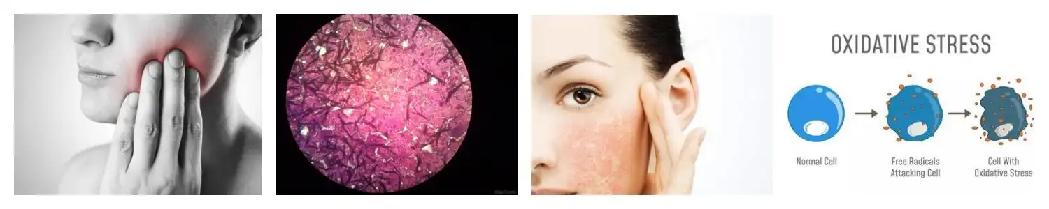 product-1-1 product-1-1