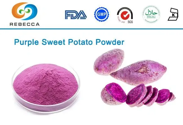 blog-1-1 product-1-1