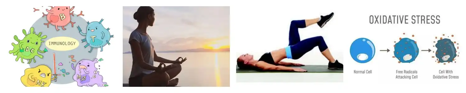 product-1-1 product-1-1