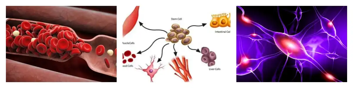 product-1-1 product-1-1
