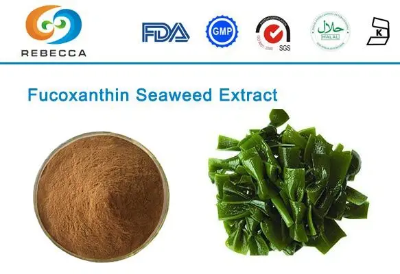 blog-1-1 product-1-1