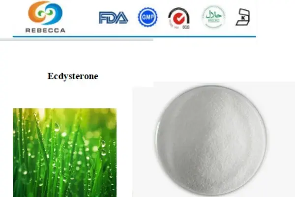 product-1-1 product-1-1