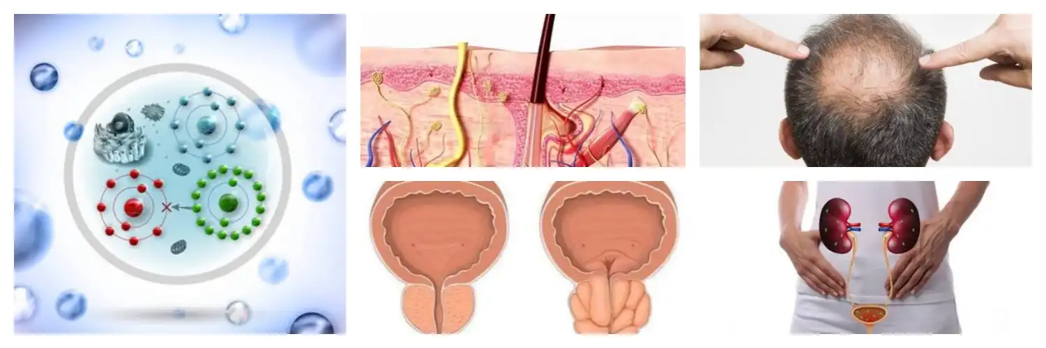 product-1-1 product-1-1