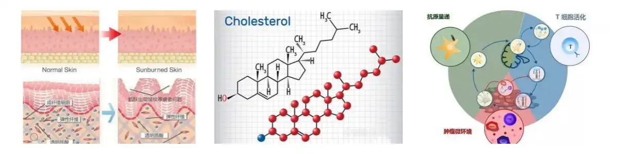 product-1-1 product-1-1