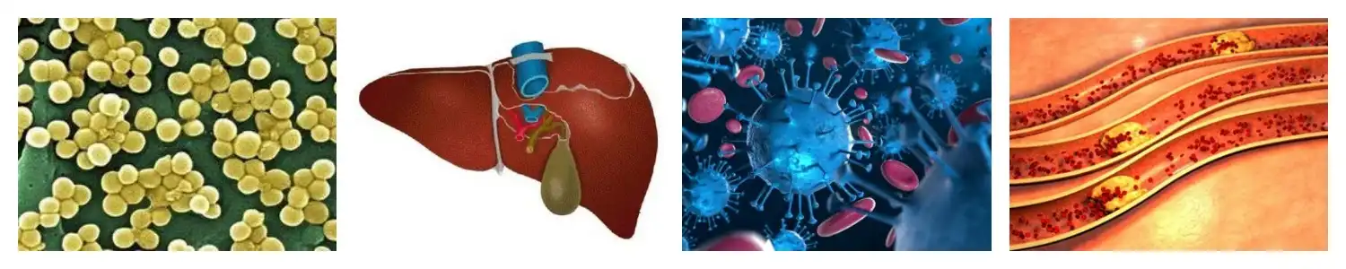 product-1-1 product-1-1