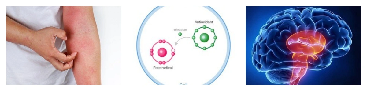 product-1-1 product-1-1