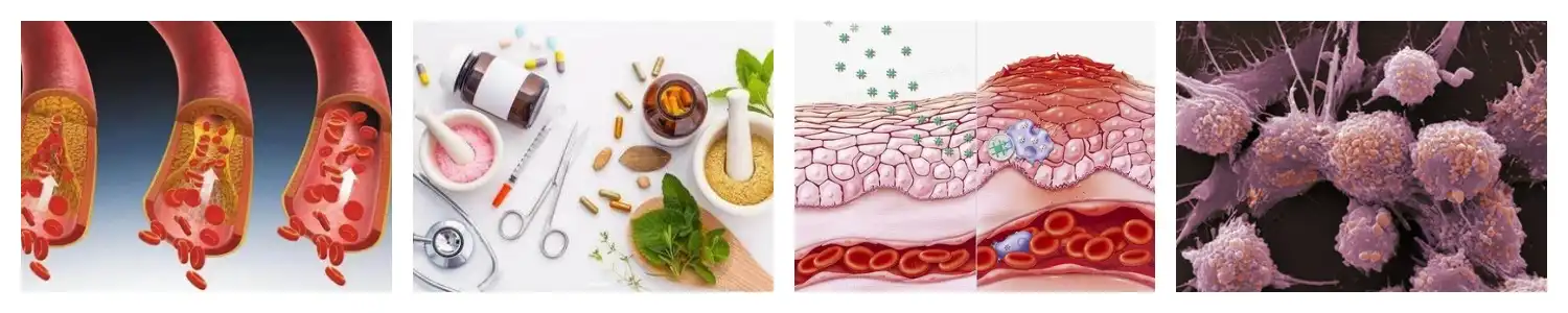 product-1-1 product-1-1