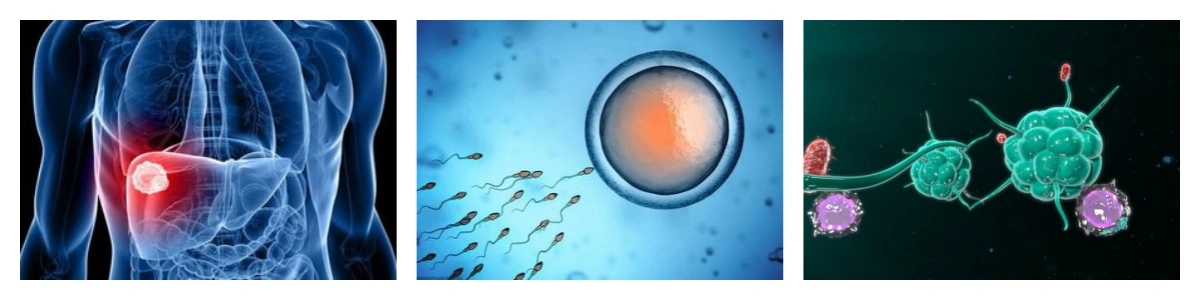 product-1-1 product-1-1