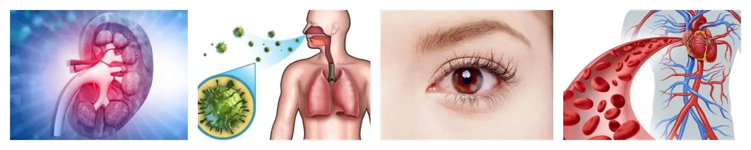 product-1-1 product-1-1