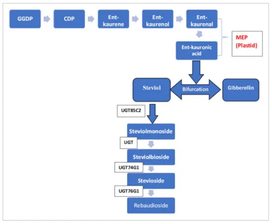 product-554-458 product-554-458