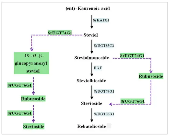 product-554-446 product-554-446