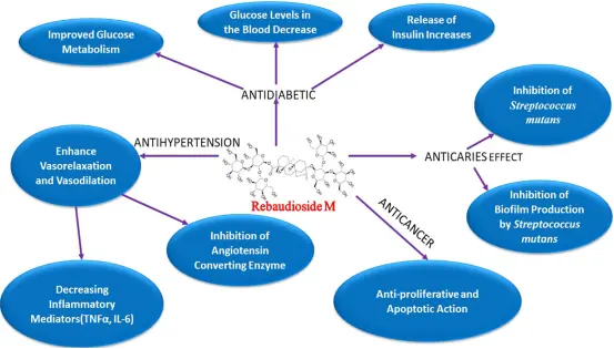product-553-315 product-553-315
