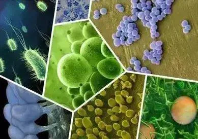 blog-389-274 blog-389-274