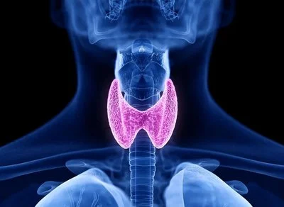 blog-400-292 blog-400-292