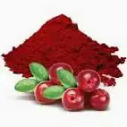 blog-142-142 blog-142-142