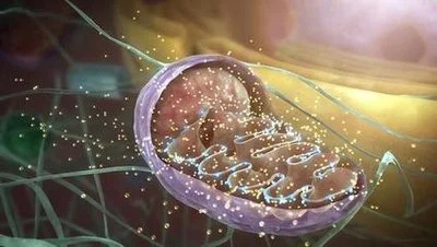 blog-400-226 blog-400-226