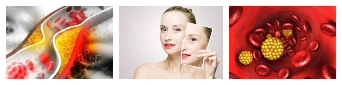 product-1-1 product-1-1