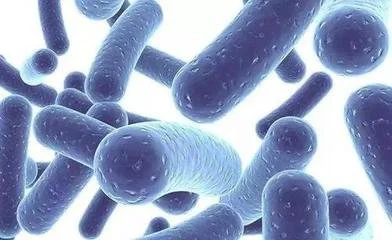 blog-392-240 blog-392-240