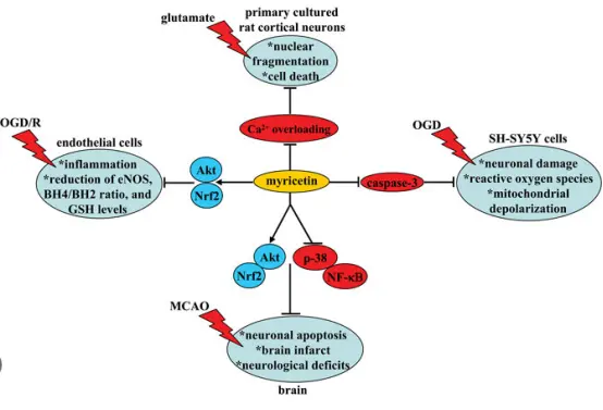 product-554-377 product-554-377